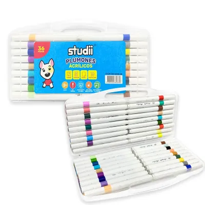 SET PLUMONES ACRILICOS X36 (CJX12)