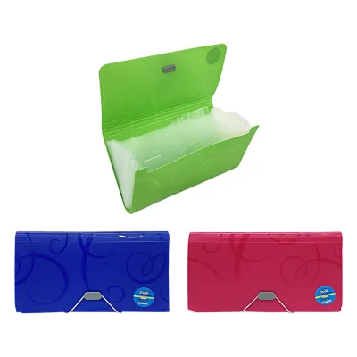 CARPETA 13 COMPARTIMIENTOS B6