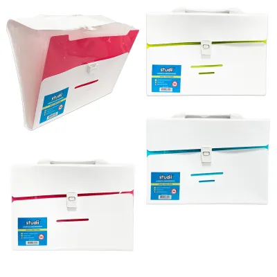 CARPETA 12 COMPARTIMENTOS A4