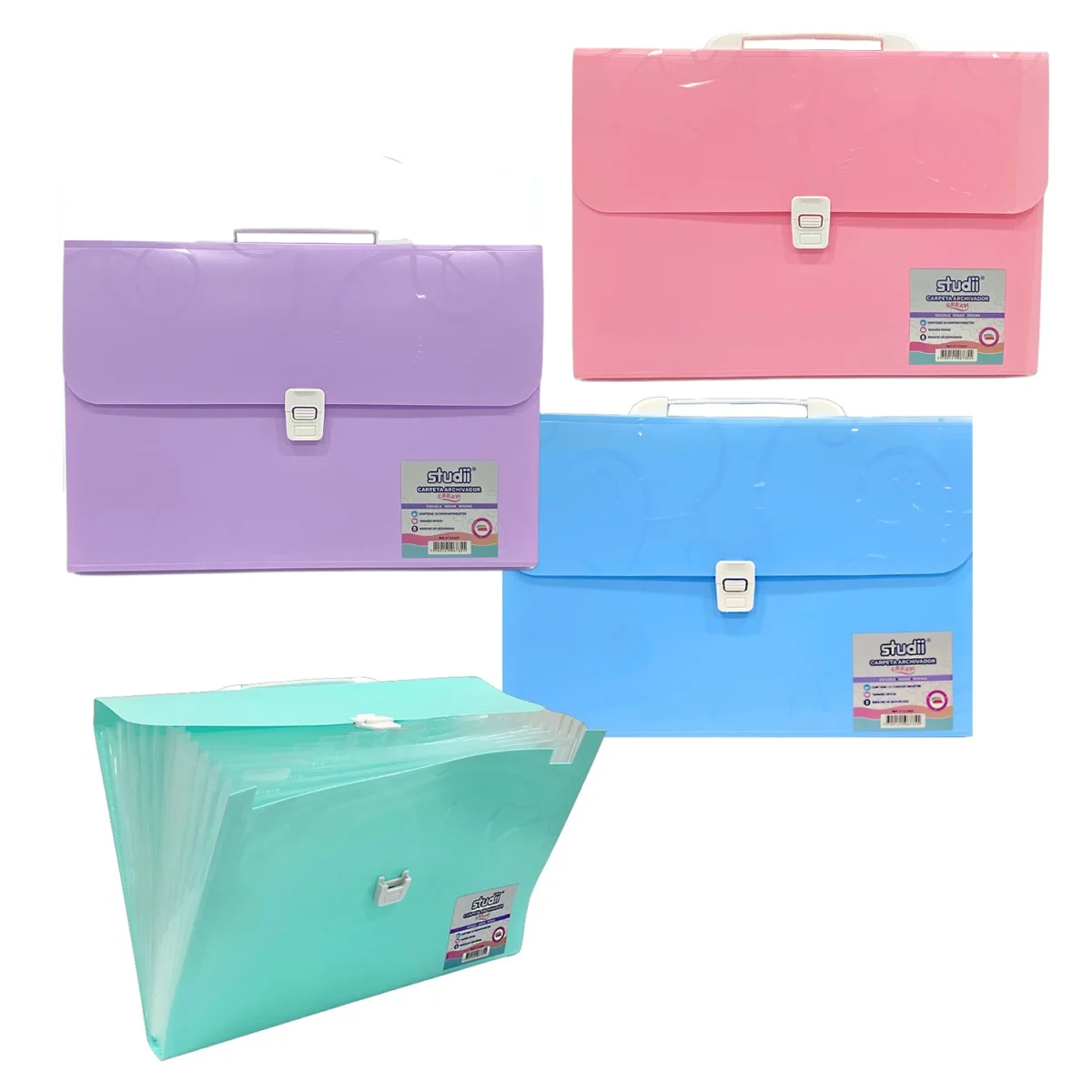 CARPETA 13 COMPARTIMENTOS (CJX15)