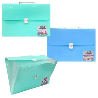 CARPETA 13 COMPARTIMENTOS (CJX15)