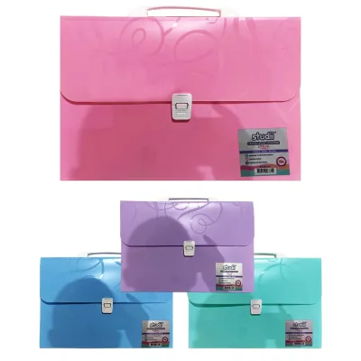 CARPETA 13 COMPARTIMENTOS (CJX15)