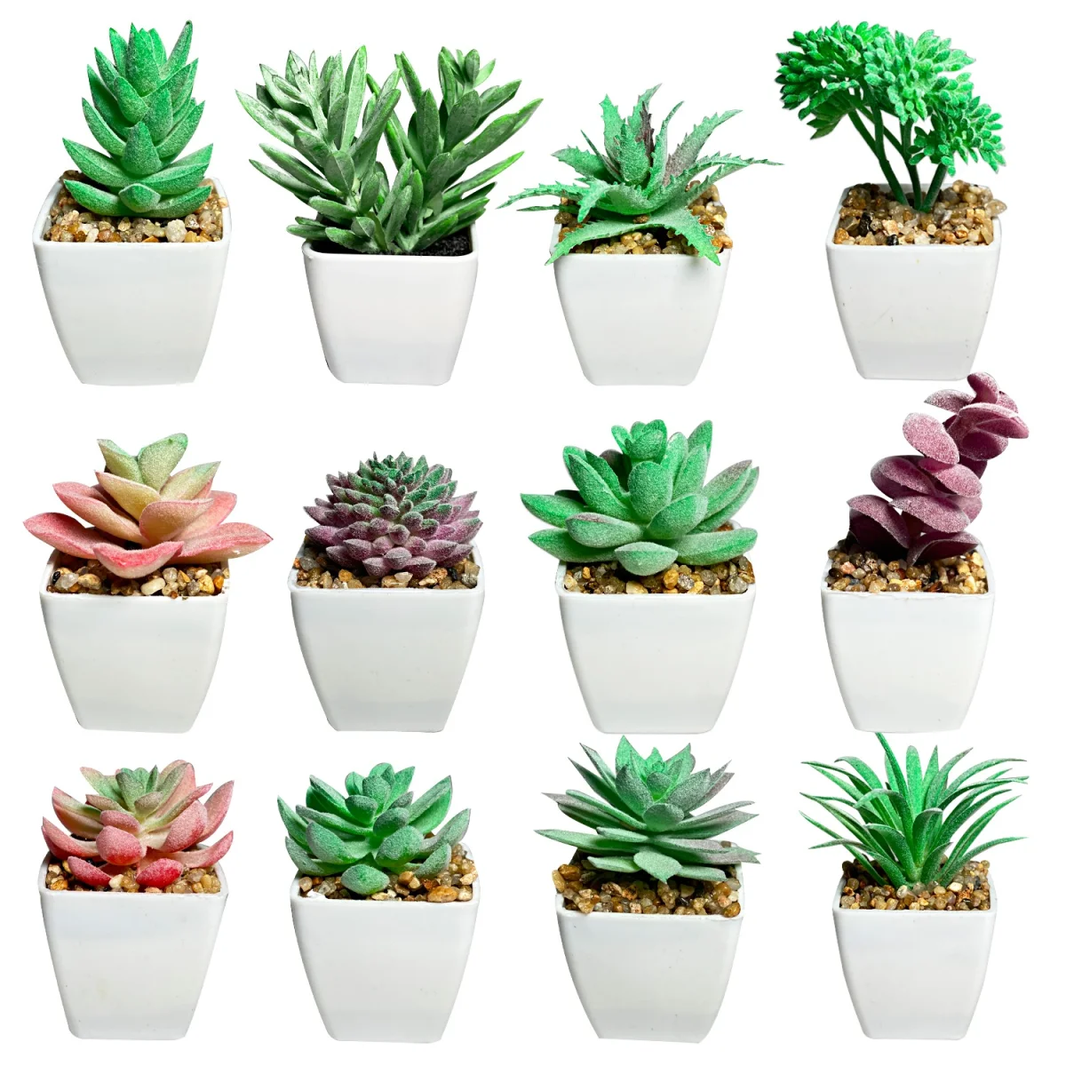 PLANTA ARTIFICIAL EN MATERA (CJX12)