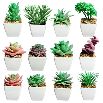 PLANTA ARTIFICIAL EN MATERA (CJX12)