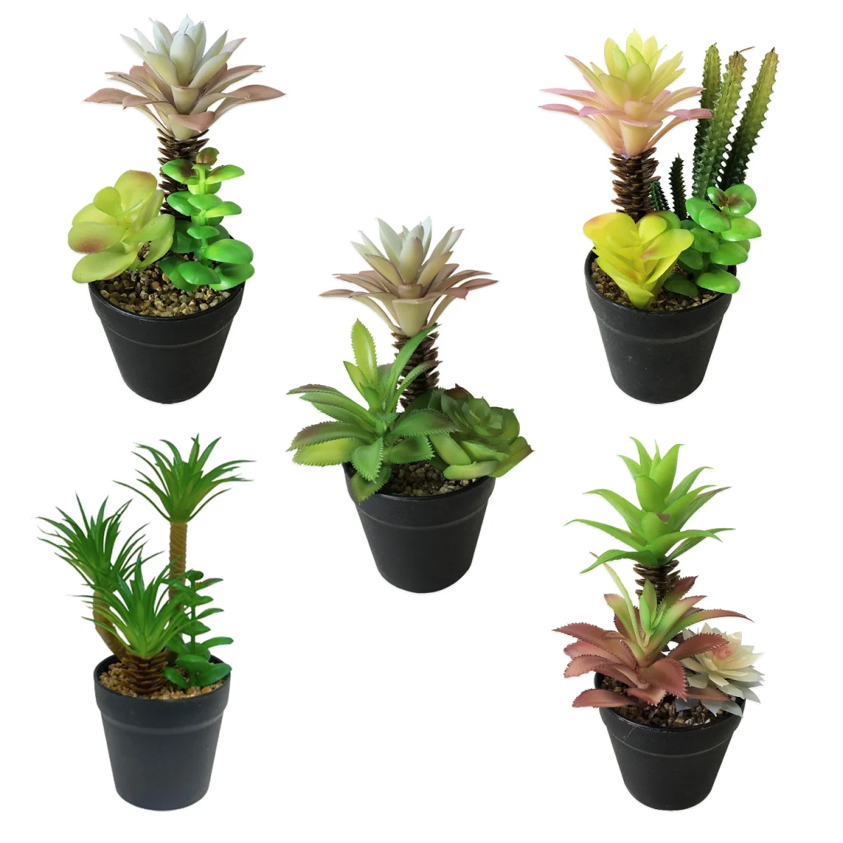 PLANTAS ARTIFICIALES EN MATERA (CJX6)