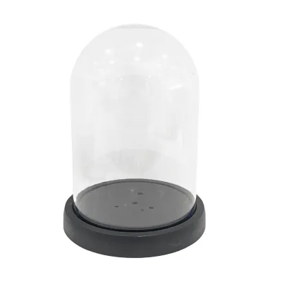 CAPSULA TRANSPARENTE CON BASE 9*20CM