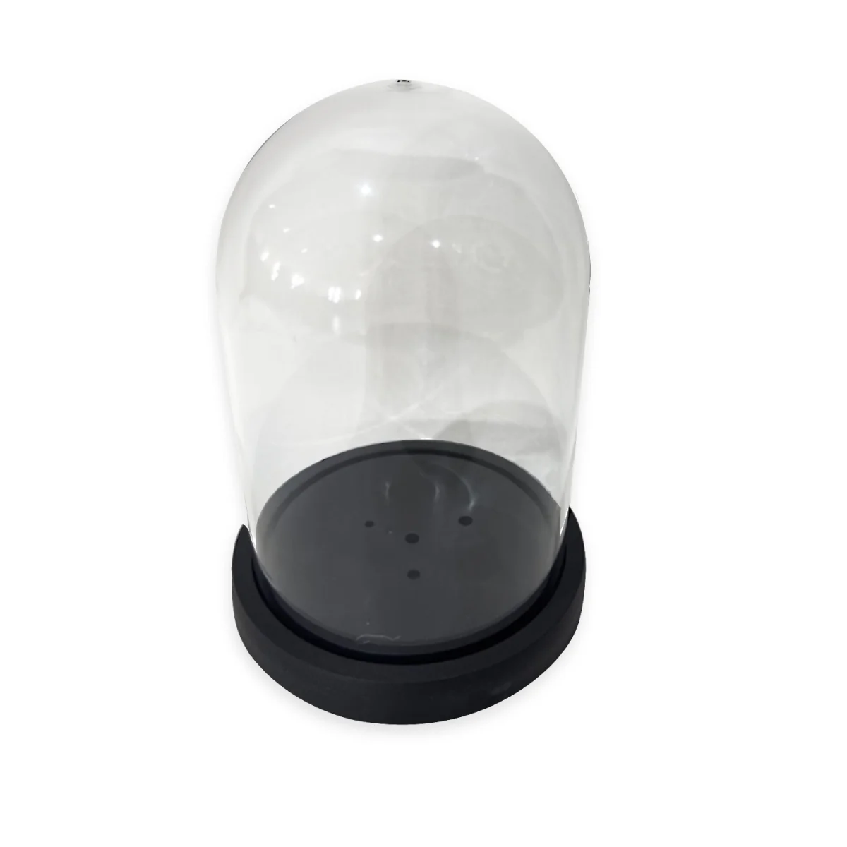 CAPSULA TRANSPARENTE CON BASE 12*18CM