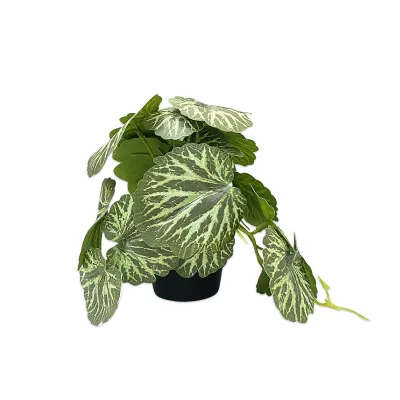 PLANTA ARTIFICIAL EN MATERA (CJX12)