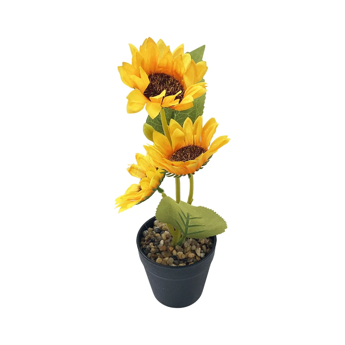 GIRASOL ARTIFICIAL EN MATERA,