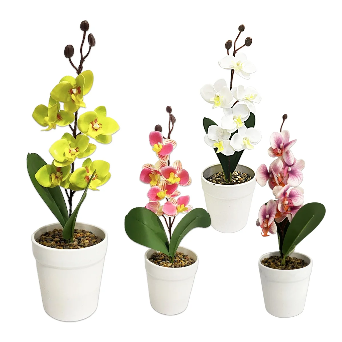 ORQUIDEA ARTIFICIAL EN MATERA