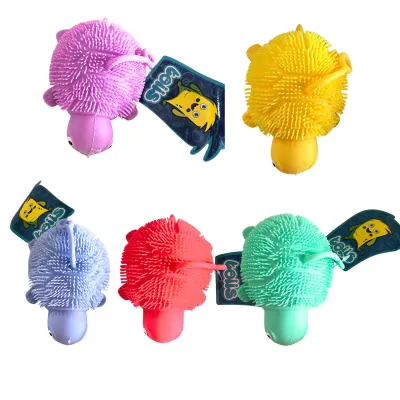 BOLITRON TORTUGA (CJX12)